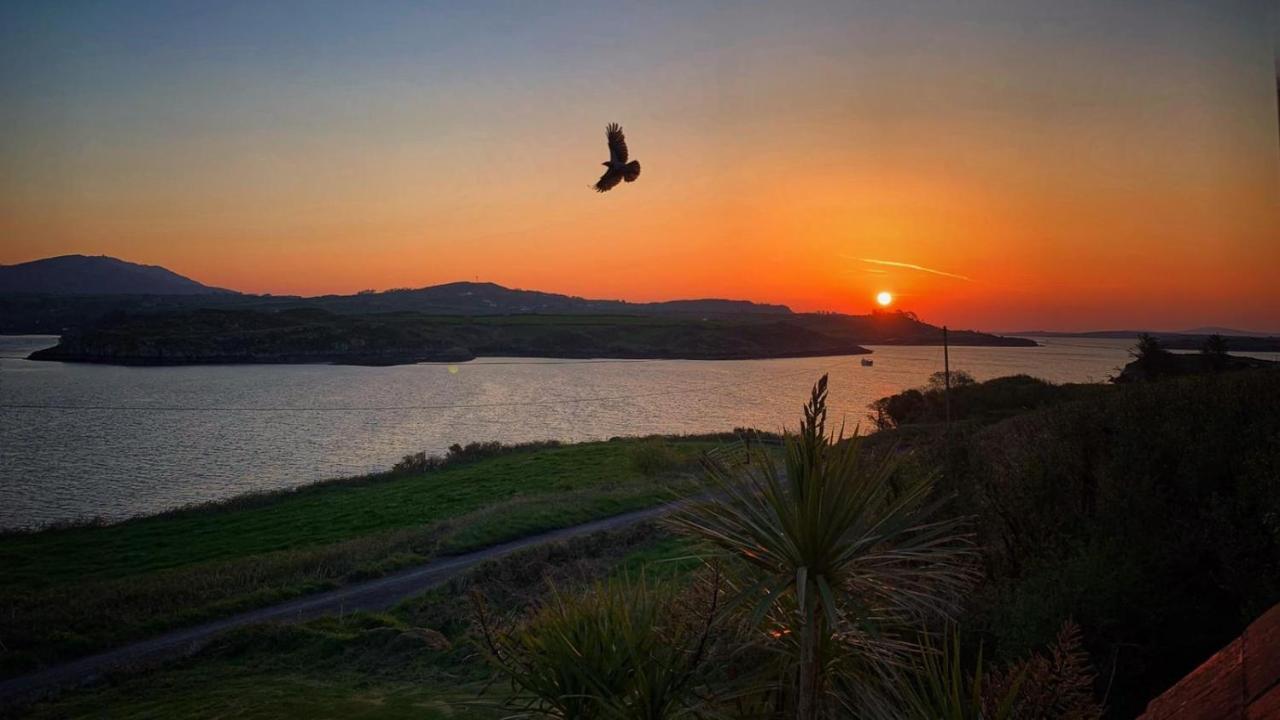 Seafort Seafront House With Own Private Pier In Gunpoint, Schull, West Cork 빌라 외부 사진